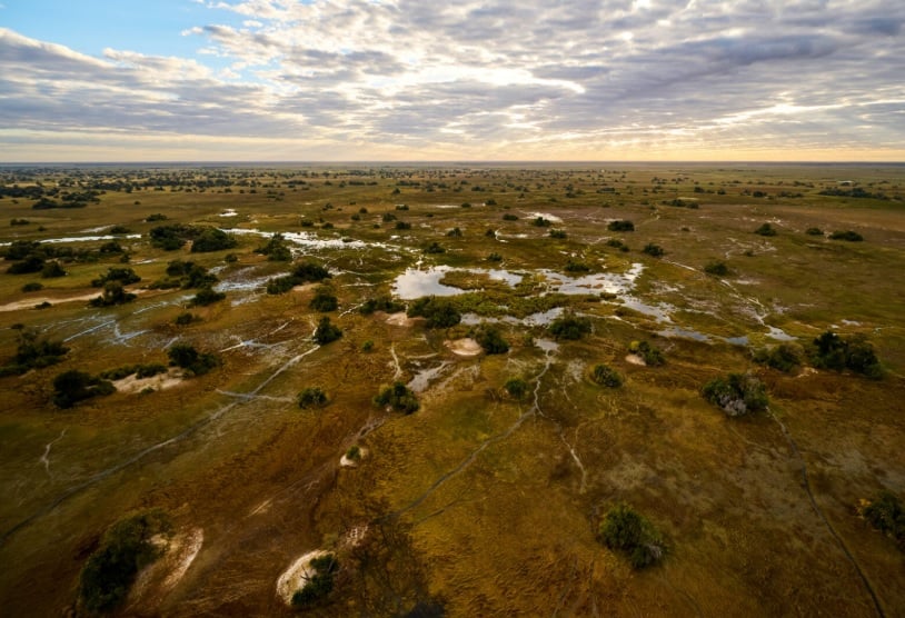 5 Day Okavango Delta Tiger Fishing Adventure at Nxamaseri Island Lodge